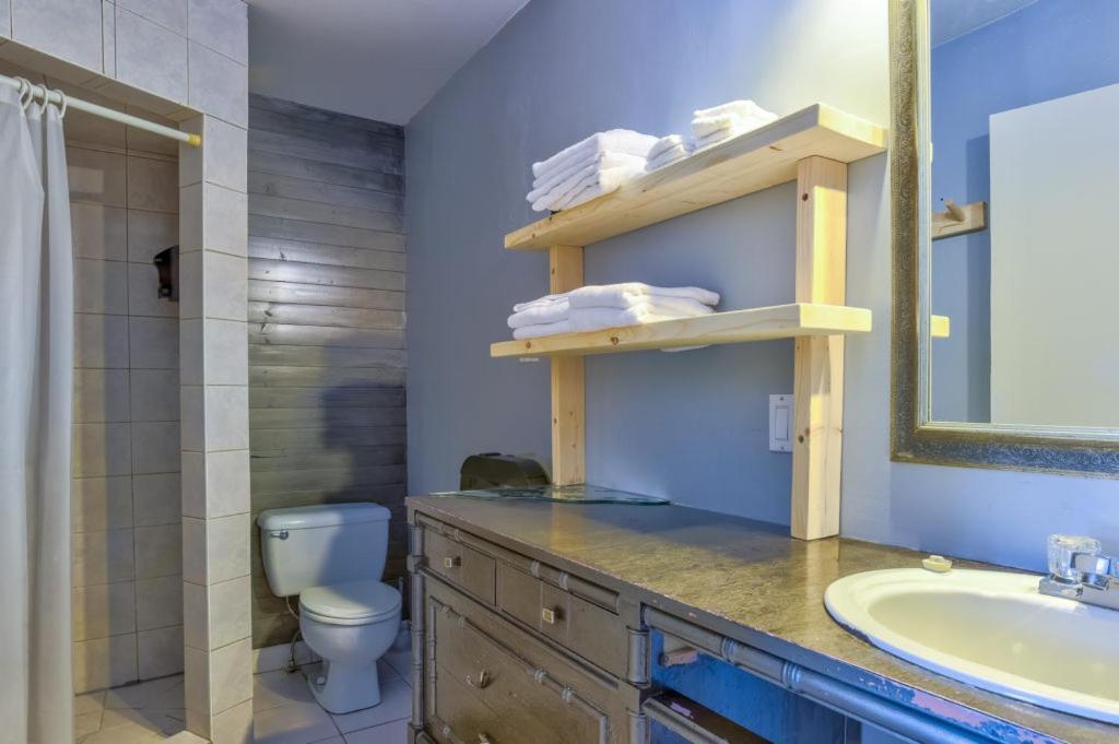 Auberge De Jeunesse Le Camp De Base LʼAnse-Saint-Jean 外观 照片